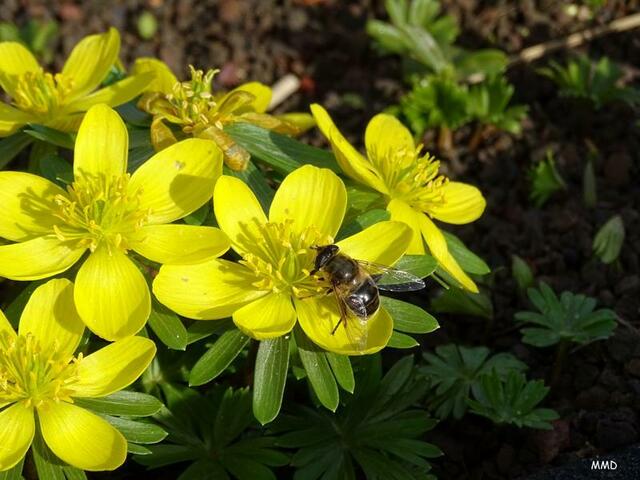 Zoo Karlsruhe  | Foto: Marlene Deck