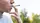 Autofahrer unter Drogen? Kontrolle bringt Brisantes ans Licht | Foto: creative_content/stock.adobe.com