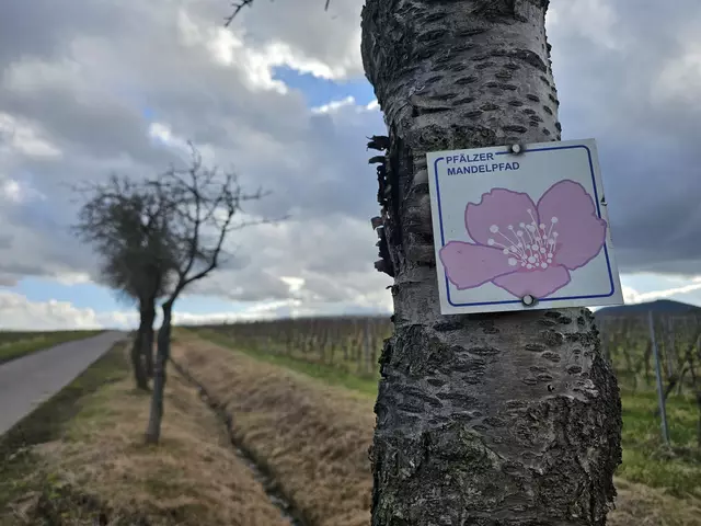 25. Februar 2025: Das Wetter spielt noch nicht richtig mit | Foto: Eva Bender