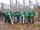 In ihrem neuen Outfit: die Wald-Aktiv-Gruppe der Lebenshilfe  | Foto: Lebenshilfe Südliche Weinstraße