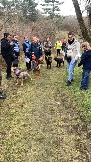 Hinweise und Alibis | Foto: Andreas Beck