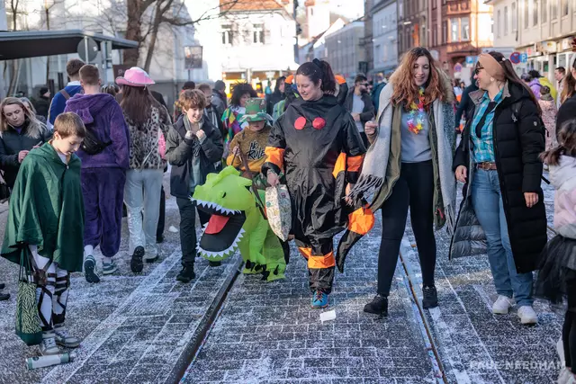 69. Durlacher Fastnachtsumzug | Foto: Paul Needham