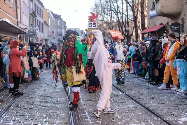69. Durlacher Fastnachtsumzug | Foto: Paul Needham