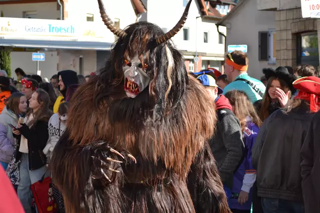 Fasnachtsumzug Dahn 2025 | Foto: Frank Schäfer