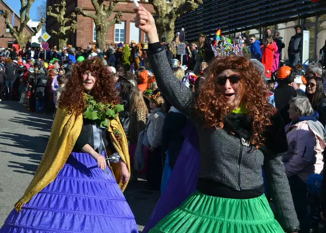 Fasnachtsumzug Dahn 2025 | Foto: Frank Schäfer