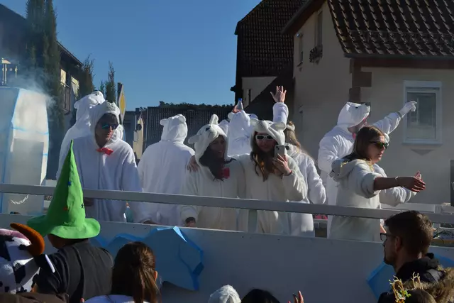 Fasnachtsumzug Dahn 2025 | Foto: Frank Schäfer