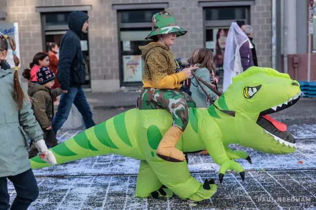 69. Durlacher Fastnachtsumzug | Foto: Paul Needham