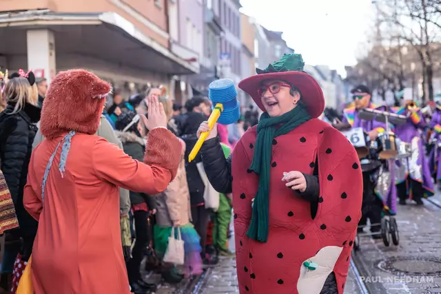 69. Durlacher Fastnachtsumzug | Foto: Paul Needham