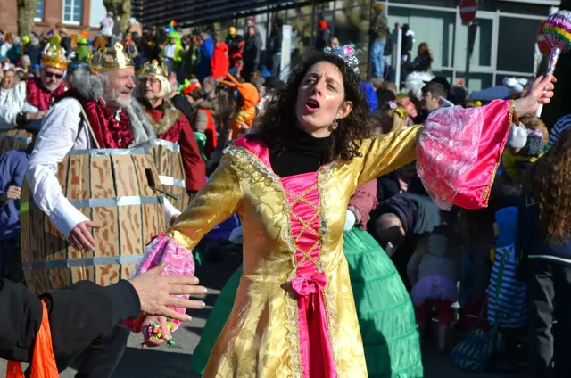 Fasnachtsumzug Dahn 2025 | Foto: Frank Schäfer