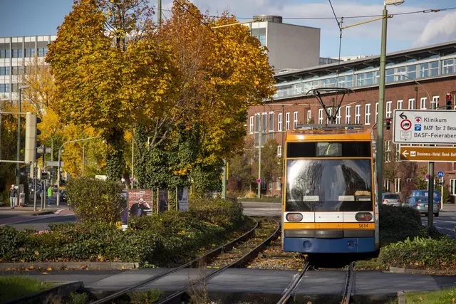 Foto: rnv GmbH/Haubner 