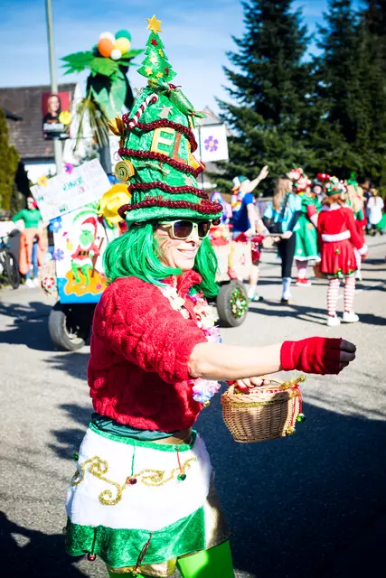 Der Mederscher Lochhewwel Faschingsumzug war ein voller Erfolg | Foto: Cornelia Bauer