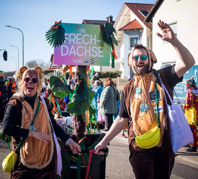 So sieht er also aus: der Frechdachs in seiner natürlichen Umgebung | Foto: Cornelia Bauer