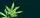 Marihuana, Cannabis Symbolbild | Foto: Bigc Studio/stock.adobe.com