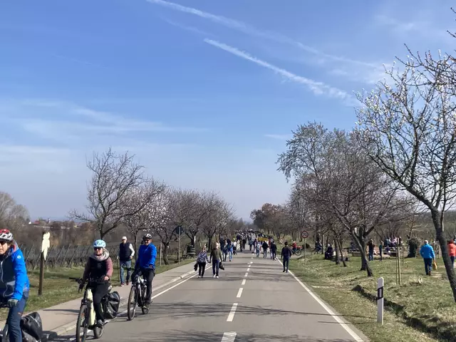 Die Mandelmeile in Edenkoben findet 2025 am Wochenende, 8. und 9. März, sowie am 15. und 16. März statt. | Foto: Anouar Touir