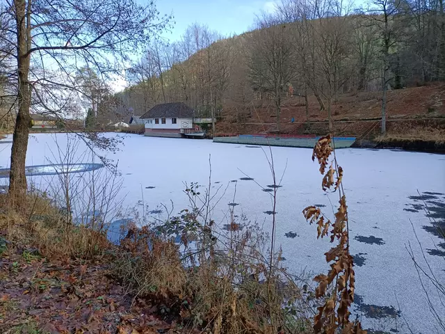 Bärenlochweiher | Foto: Ich