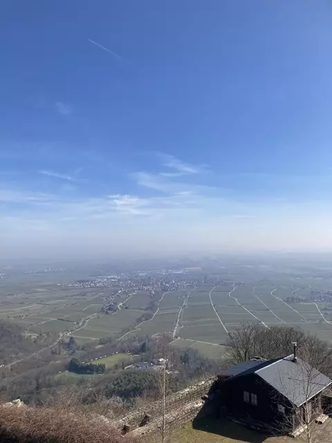 Die Mandelmeile in Edenkoben findet 2025 am Wochenende, 8. und 9. März, sowie am 15. und 16. März statt. | Foto: Anouar Touir