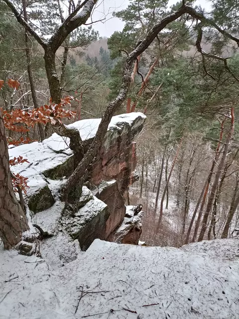 Heidefelsen | Foto: Ich