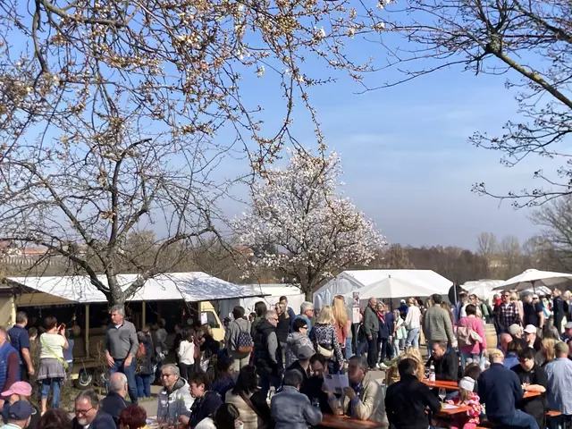 Die Mandelmeile in Edenkoben findet 2025 am Wochenende, 8. und 9. März, sowie am 15. und 16. März statt. | Foto: Anouar Touir