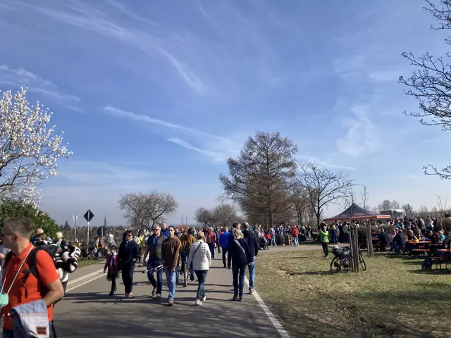 Die Mandelmeile in Edenkoben findet 2025 am Wochenende, 8. und 9. März, sowie am 15. und 16. März statt. | Foto: Anouar Touir