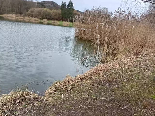 Silbersee | Foto: Ich