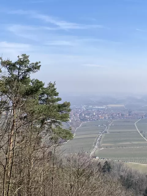 Die Mandelmeile in Edenkoben findet 2025 am Wochenende, 8. und 9. März, sowie am 15. und 16. März statt. | Foto: Anouar Touir