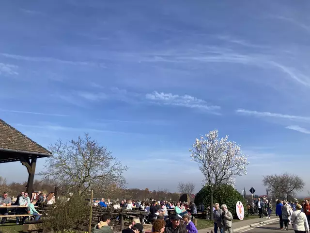 Die Mandelmeile in Edenkoben findet 2025 am Wochenende, 8. und 9. März, sowie am 15. und 16. März statt. | Foto: Anouar Touir