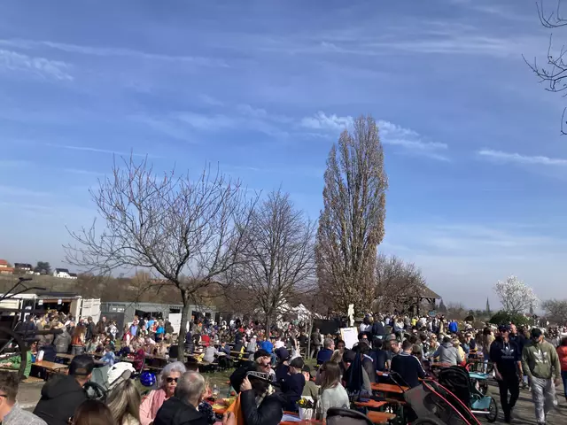 Die Mandelmeile in Edenkoben findet 2025 am Wochenende, 8. und 9. März, sowie am 15. und 16. März statt. | Foto: Anouar Touir