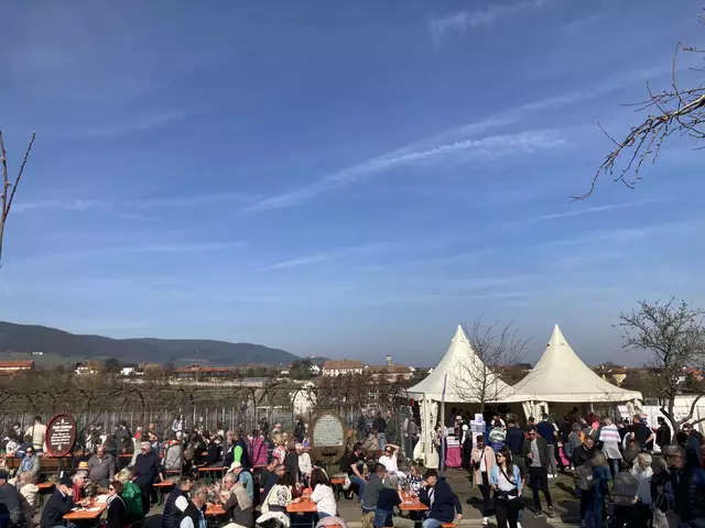 Die Mandelmeile in Edenkoben findet 2025 am Wochenende, 8. und 9. März, sowie am 15. und 16. März statt. | Foto: Anouar Touir