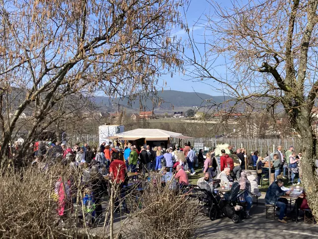 Die Mandelmeile in Edenkoben findet 2025 am Wochenende, 8. und 9. März, sowie am 15. und 16. März statt. | Foto: Anouar Touir
