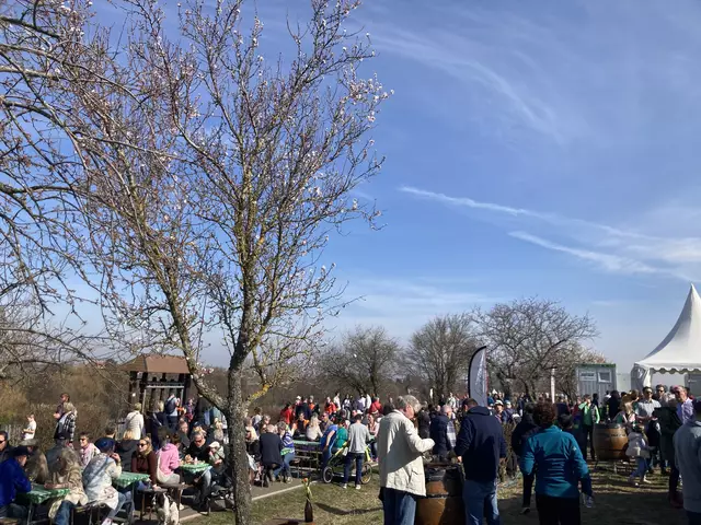 Die Mandelmeile in Edenkoben findet 2025 am Wochenende, 8. und 9. März, sowie am 15. und 16. März statt. | Foto: Anouar Touir