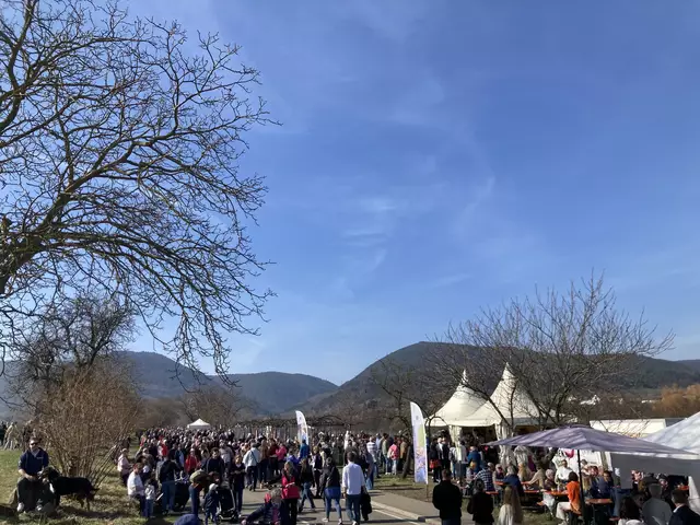 Die Mandelmeile in Edenkoben findet 2025 am Wochenende, 8. und 9. März, sowie am 15. und 16. März statt. | Foto: Anouar Touir