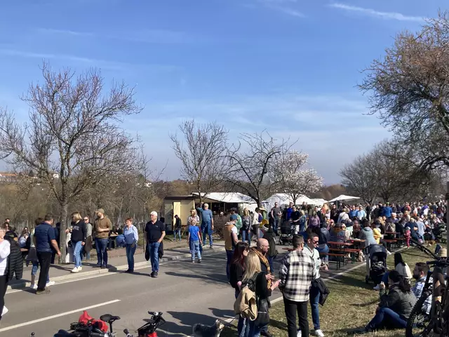 Die Mandelmeile in Edenkoben findet 2025 am Wochenende, 8. und 9. März, sowie am 15. und 16. März statt. | Foto: Anouar Touir