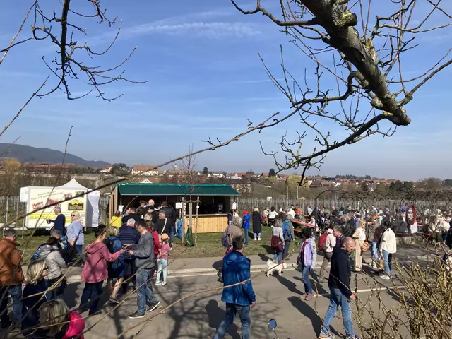 Die Mandelmeile in Edenkoben findet 2025 am Wochenende, 8. und 9. März, sowie am 15. und 16. März statt. | Foto: Anouar Touir