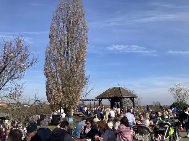 Die Mandelmeile in Edenkoben findet 2025 am Wochenende, 8. und 9. März, sowie am 15. und 16. März statt. | Foto: Anouar Touir