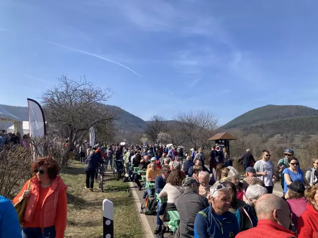 Die Mandelmeile in Edenkoben findet 2025 am Wochenende, 8. und 9. März, sowie am 15. und 16. März statt. | Foto: Anouar Touir