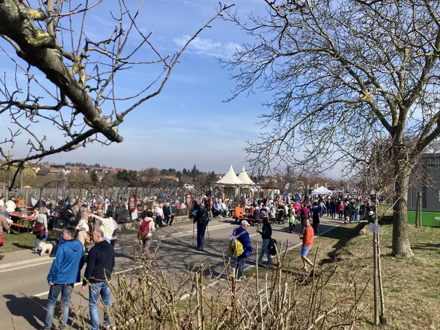 Die Mandelmeile in Edenkoben findet 2025 am Wochenende, 8. und 9. März, sowie am 15. und 16. März statt. | Foto: Anouar Touir