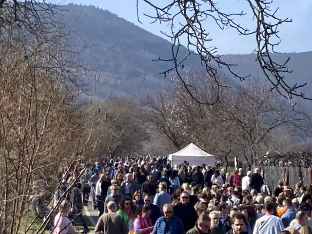 Die Mandelmeile in Edenkoben findet 2025 am Wochenende, 8. und 9. März, sowie am 15. und 16. März statt. | Foto: Anouar Touir