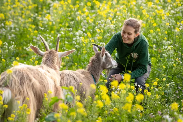 Naturerlebnis mit Ziegen  | Foto: Silvia Korrmann