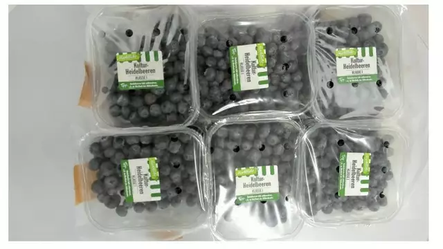 Diese bei Penny und Rewe verkauften Heidelbeeren können Rückstände eines Pflanzenschutzmittels enthalten und sollten daher nicht verzehrt werden | Foto: Port International Group