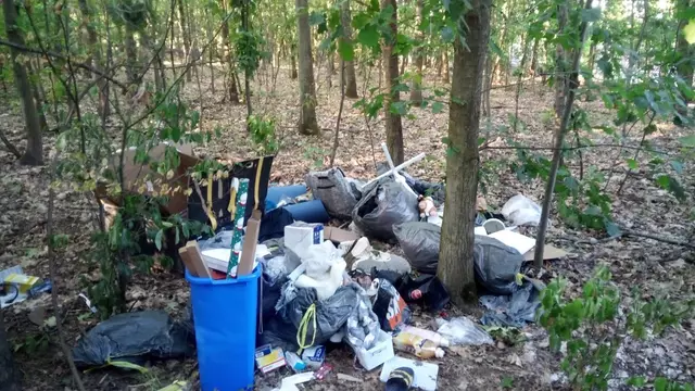 Müll 1 | Foto: Schutzgemeinschaft Deutscher Wald