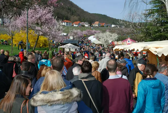 Großer Besucherandrang ist auch dieses Jahr auf dem Gimmeldinger Mandelblütenfest zu erwarten. | Foto: Harald Schönig