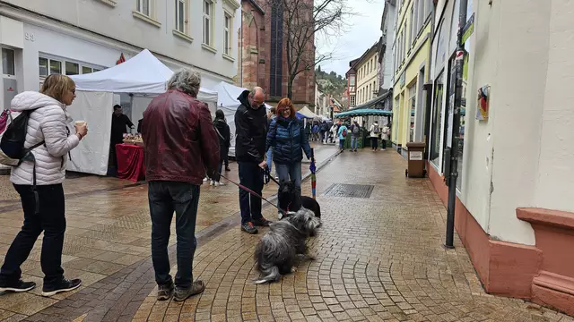 Erlebnissonntag mit "Hundetreff" in der Fußgängerzone | Foto: Eva Bender