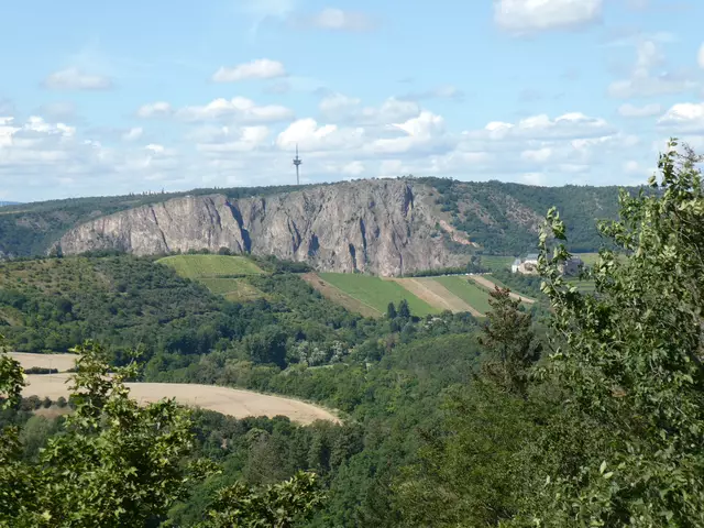 Blick auf den Rotenfels  | Foto: Heinrich Schneider