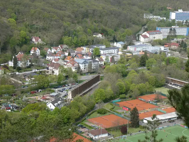 Blick vom Rheingrafenstein auf``s Salinental bei Bad Münster | Foto: Heinrich Schneider