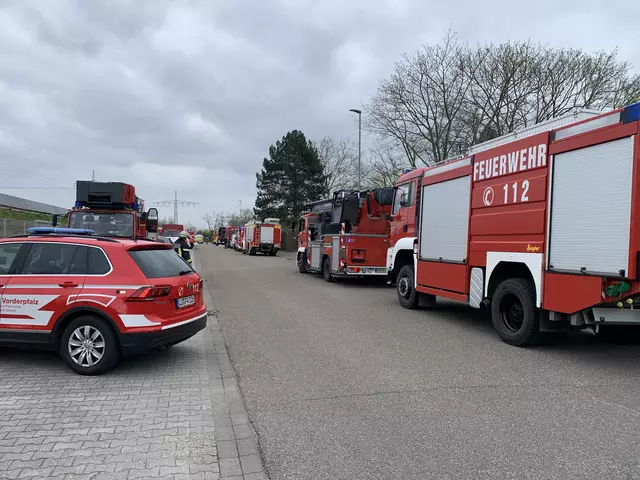 Foto: Michael Sonnick