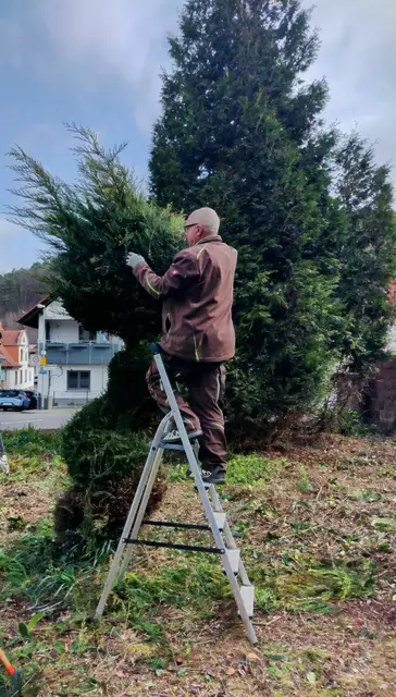 Foto: Mattia De Fazio