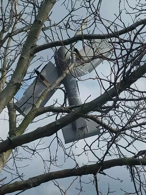 d | Foto: i.A. Igor Girka