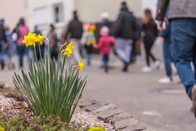 Frühlingsboten | Foto: Paul Needham
