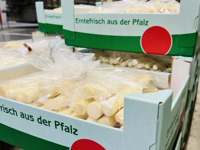 Jetzt beginnt die schönste Jahreszeit für alle Spargel-Liebhaber! Ab sofort gibt „Erntefrisch aus der Pfalz“ beim Start in die Spargelsaison und die bundesweite Vermarktung den Takt vor.  | Foto: Pfalzmarkt eG