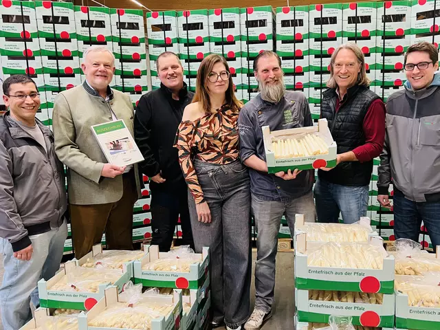 Passend zum Start ins Spargeljahr wird auf der Handelsplattform bei Pfalzmarkt eG – symbolisch und als Dank an die gewichtigen Abnehmer aus der Gastronomie – das „Erste Pfund Pfälzer Spargel“ an Chefkoch Marc Dutschmann von „Dutschmann’s Kapellchen“ aus Wachenheim überreicht: Im Bild von links: Hugo Da Mota, Marktexperte für Spargel, Pfalzmarkt-Vorstand Hans-Jörg Friedrich, Spargellieferant und Pfalzmarkt-Erzeuger Michael Zapf, Simone und Marc Dutschmann, Christian Deyerling, Aufsichtsratsvorsitzender sowie Leo Zastrow Vertriebsspezialist aus dem Spargelbüro bei Pfalzmarkt eG.  | Foto: Pfalzmarkt eG